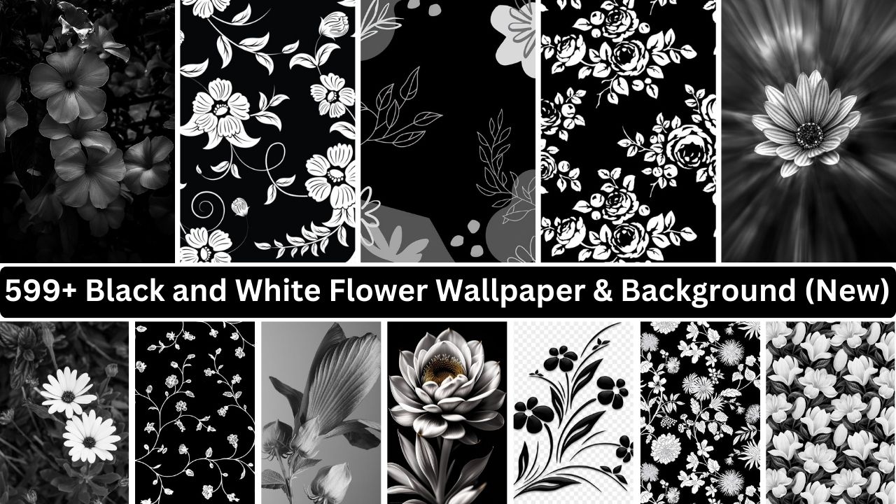 599+ Black And White Flower Wallpaper & Background (new)