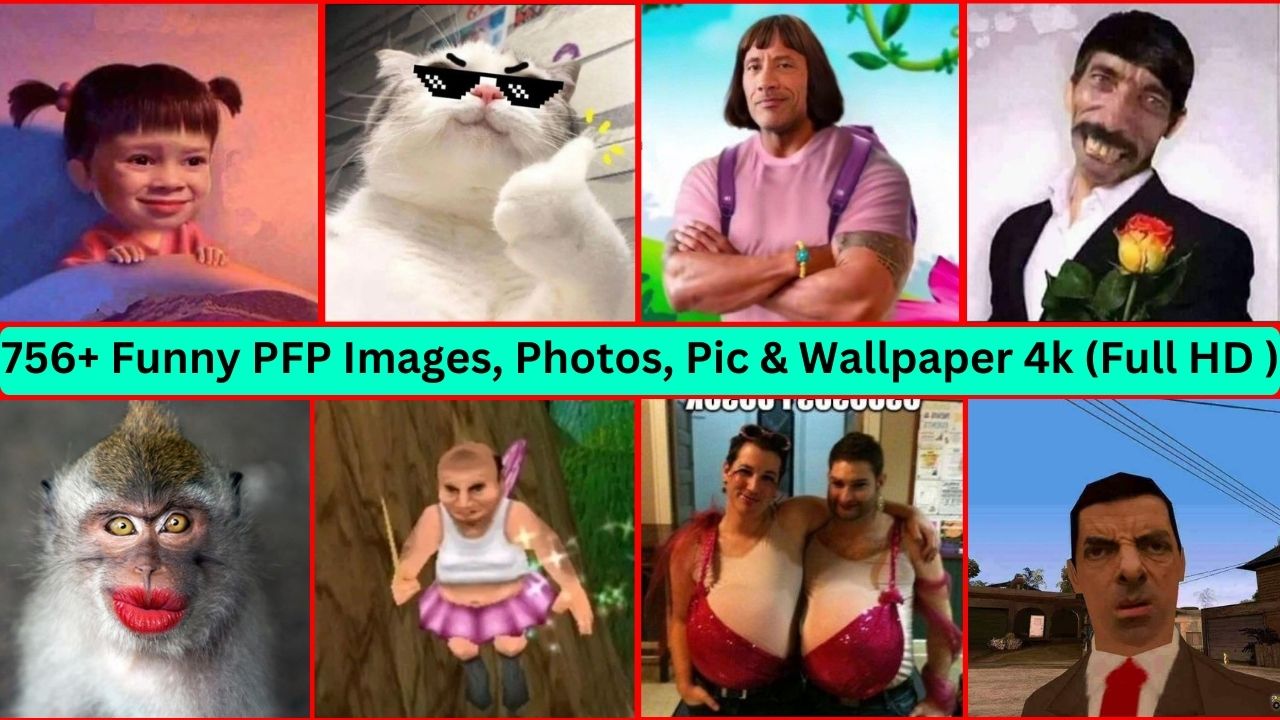 756+ Funny Pfp Images, Photos, Pic & Wallpaper 4k (full Hd)