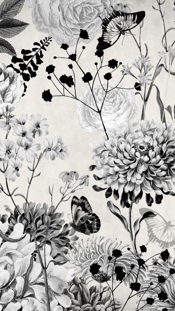 Black And White And Flower Background
