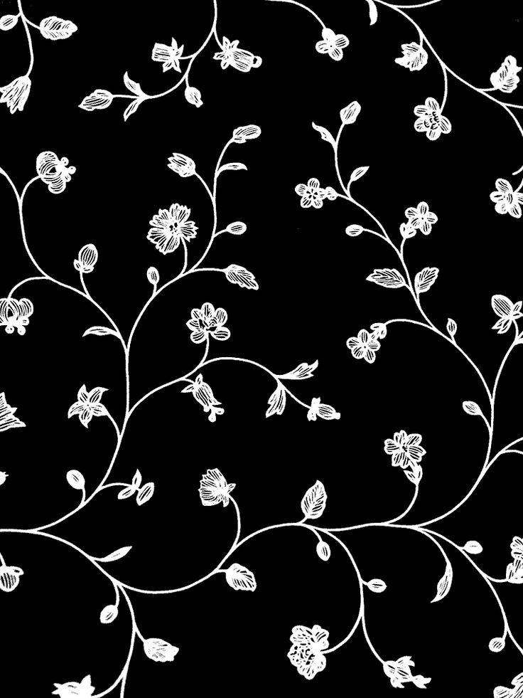 Black And White Flower Background Photos