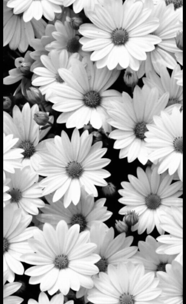 Black And White Flower Design Wallpaper Background