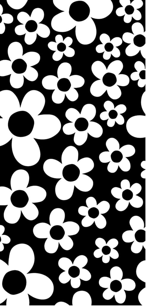 Black And White Flower Hd White Background Photos