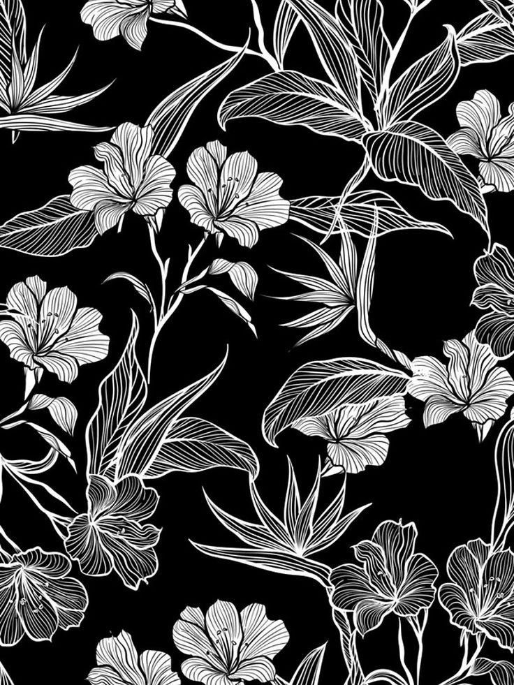 Black And White Flower Laptop Background Wallpaper