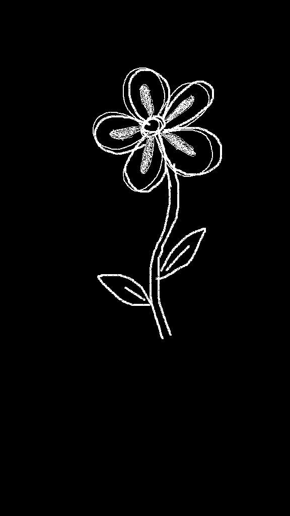 Black And White Flower White Background Download