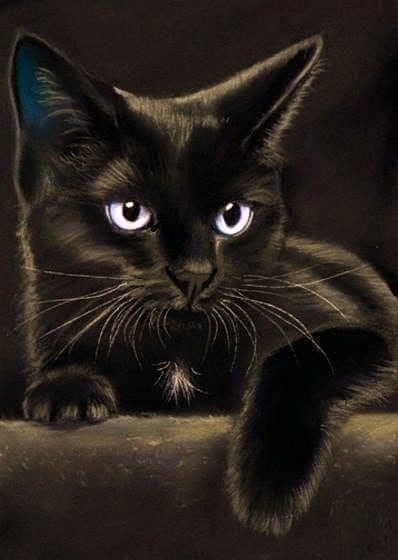 Black Cat Pfp Cute Wallpaper
