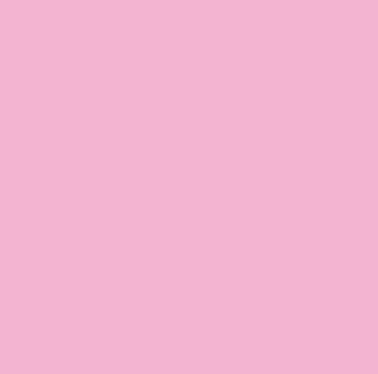 Blush Pink Wallpaper Plain