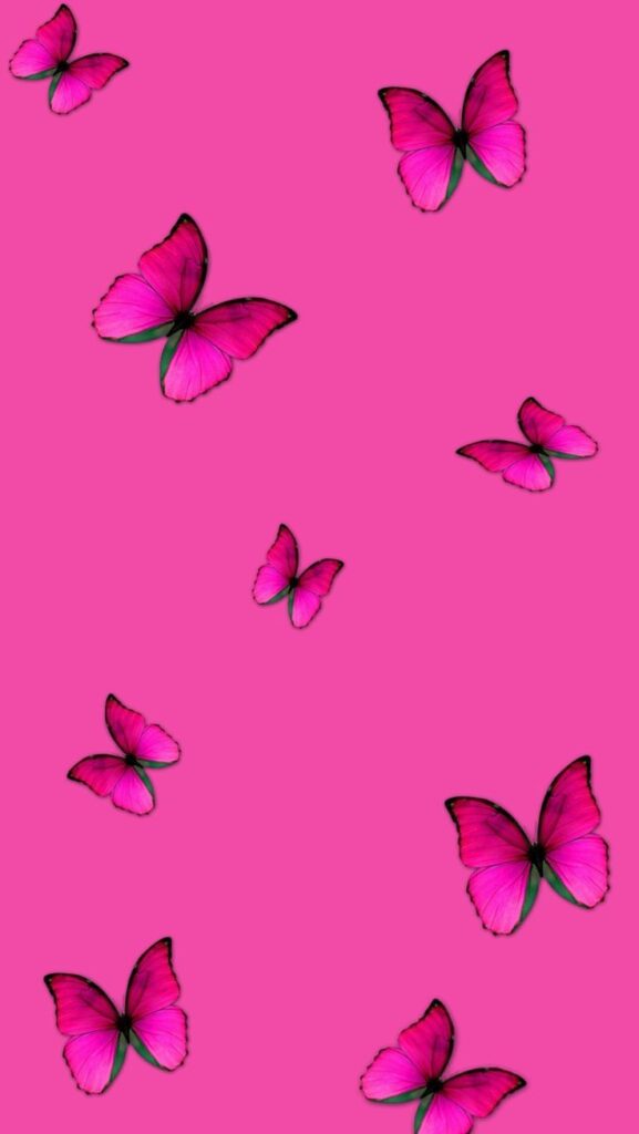 Dark Pink Butterfly Wallpaper