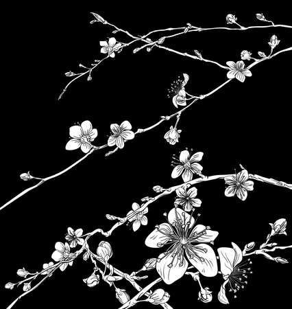 Flower Background Black And White