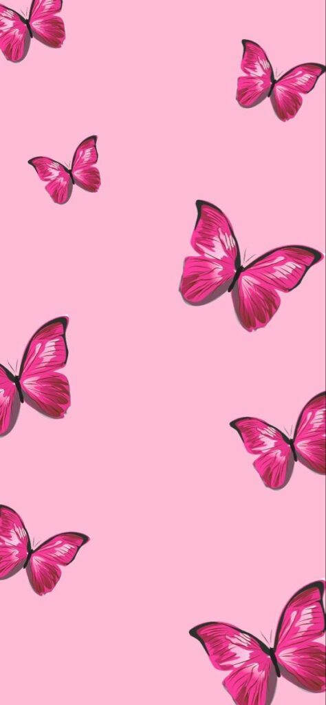 Hot Pink Butterfly Wallpaper