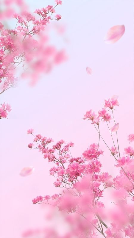 Hot Pink Flower Wallpaper