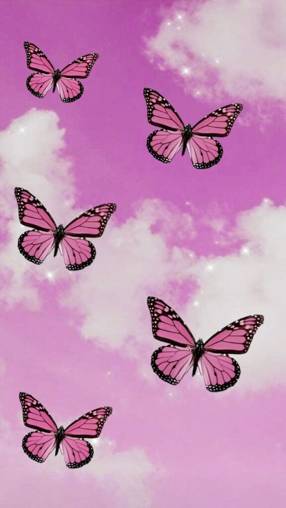 Pink And Black Butterfly Wallpaper