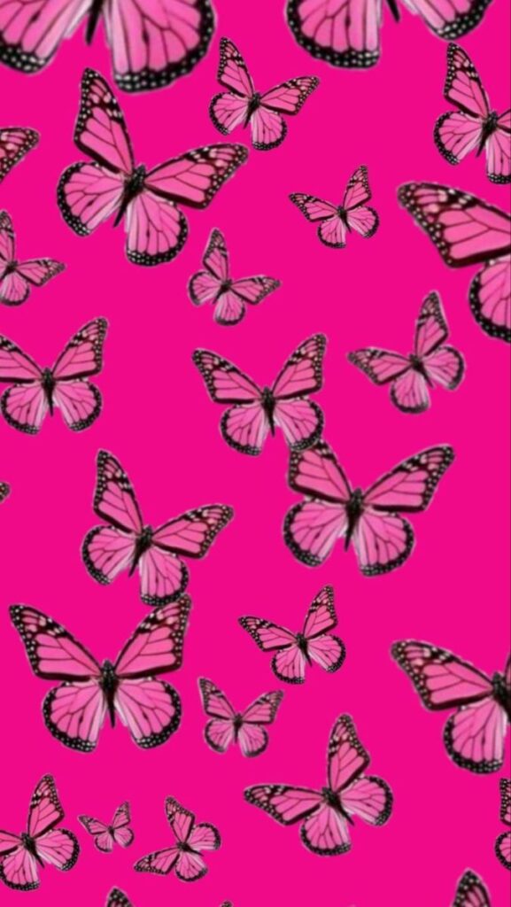 Pink Flower And Butterfly Wallpaper