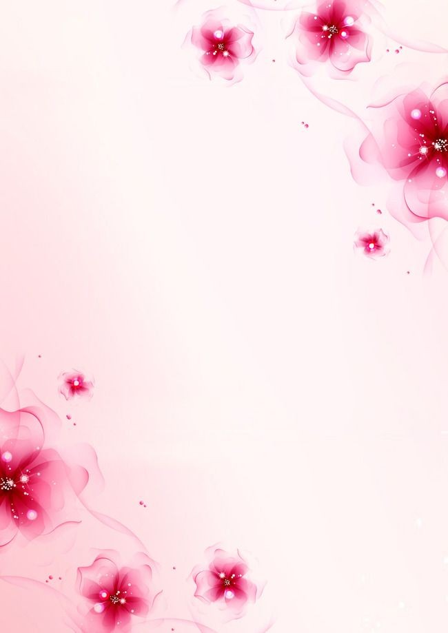 Pink Flower Wallpaper 4k