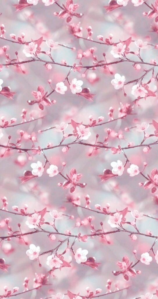 Pink Flower Wallpaper Iphone