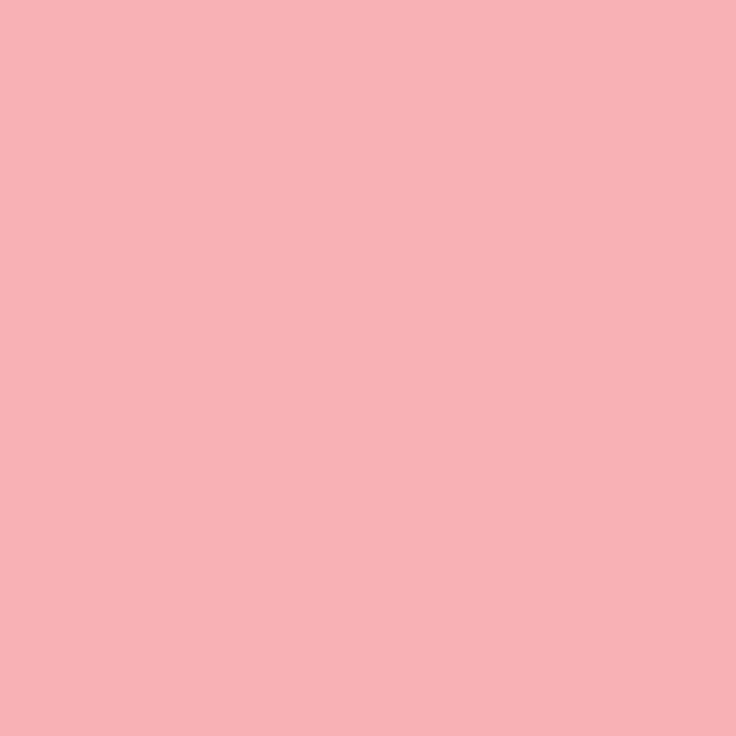 Plain Blush Pink Wallpaper