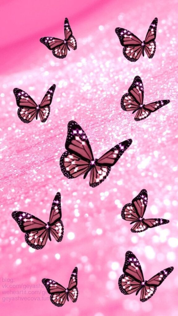 Purple Pink Butterfly Wallpaper