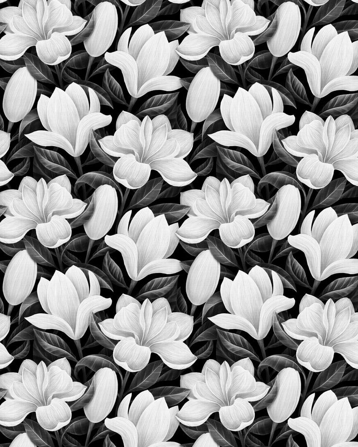 White And Black Flower Background