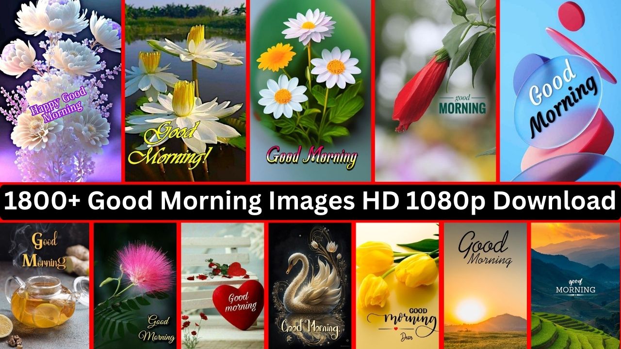 180+ Good Morning Images Hd 1080p Download