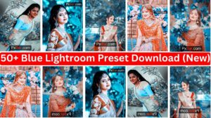 5+ Blue Lightroom Preset Download