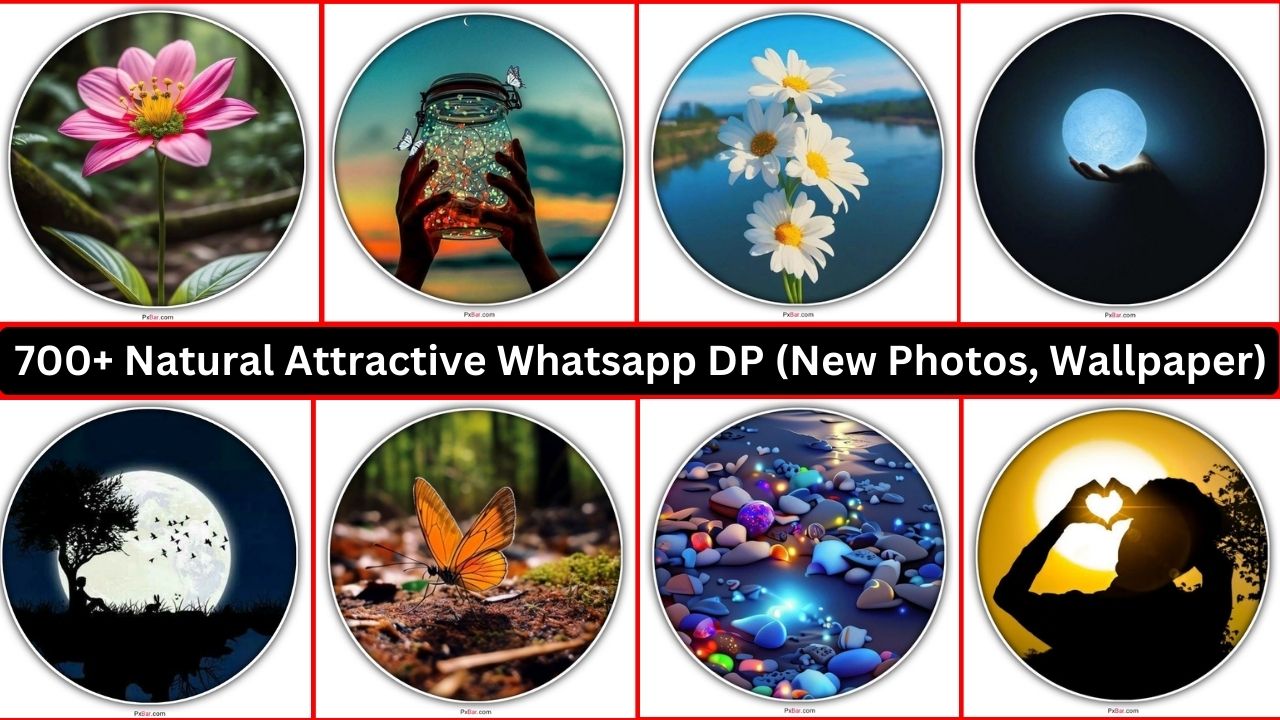 70+ Natural Attractive Whatsapp Dp (new Photos, Wallpaper)