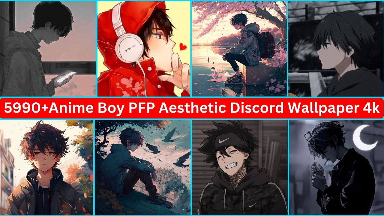 Anime Boy Pfp Aesthetic Discord Wallpaper 4k