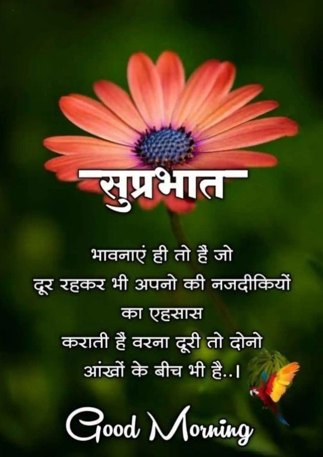 Good Morning Hindi Quotes Images