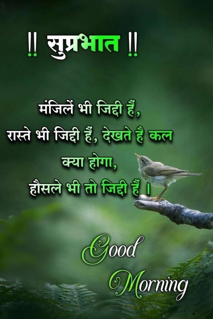 Good Morning Images For Whatsapp In Hindi Download
