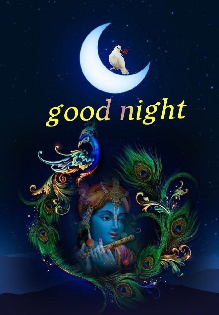 Good Night Radhe Krishna Image