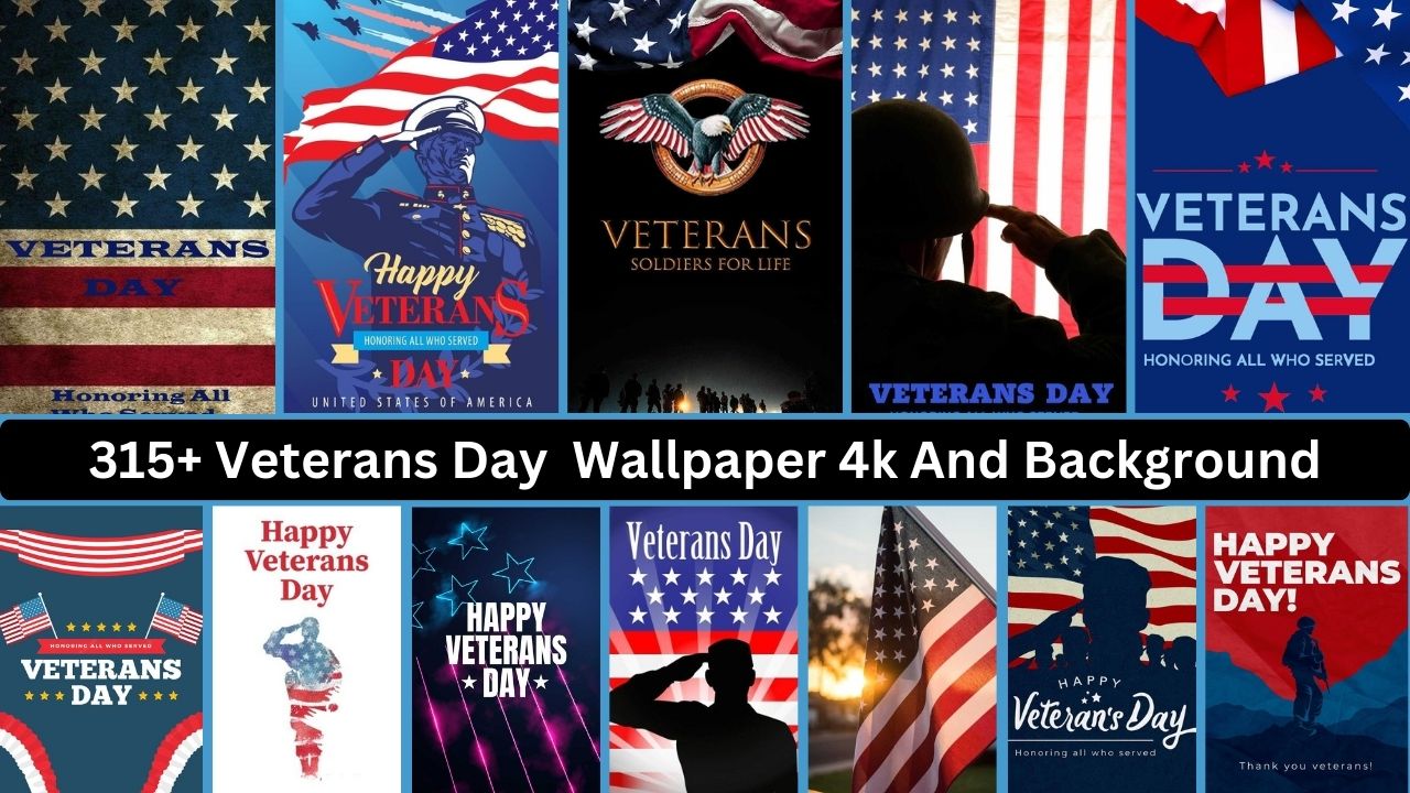 Veterans Day Wallpaper 4k