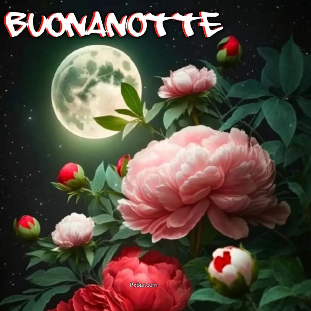 Dolce Notte Immagini Bellissime