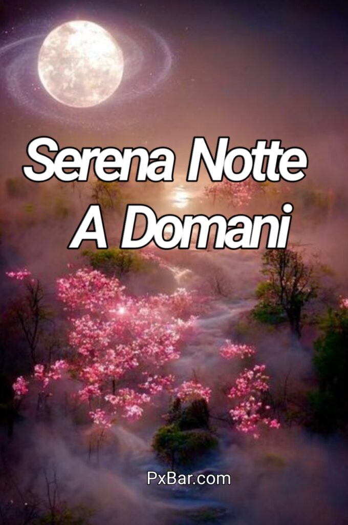 Immagini Serena Notte