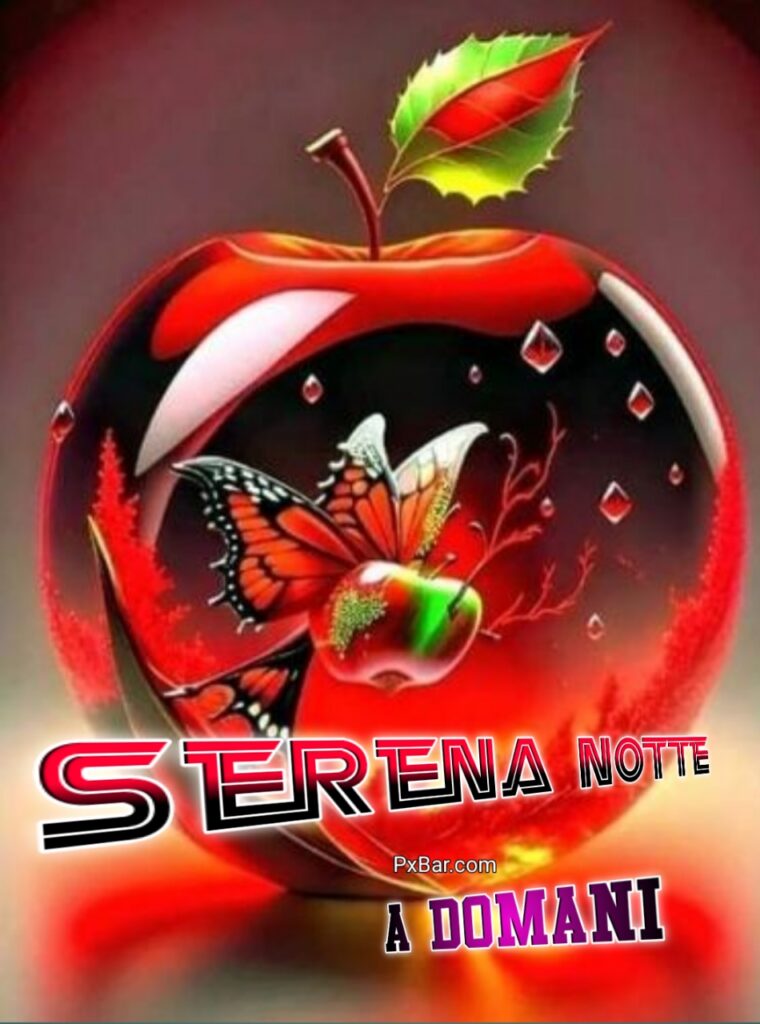 Notte Serena Sogni D'oro A Domani
