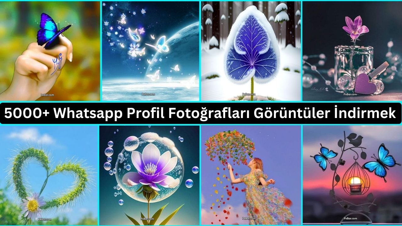 5000+ Whatsapp Profil Fotoğrafları Görüntüler İndirmek